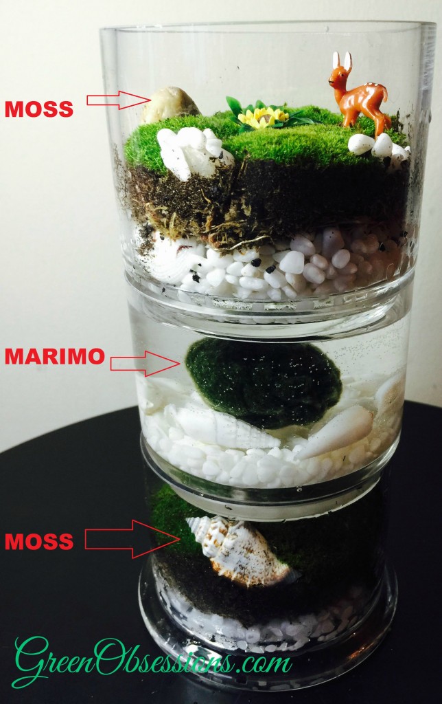 Labelled terrarium