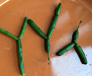stems