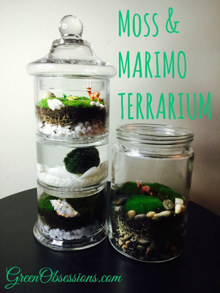 2 terrariums