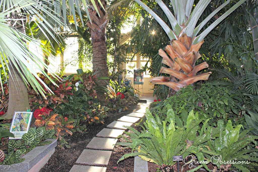 palmroom1