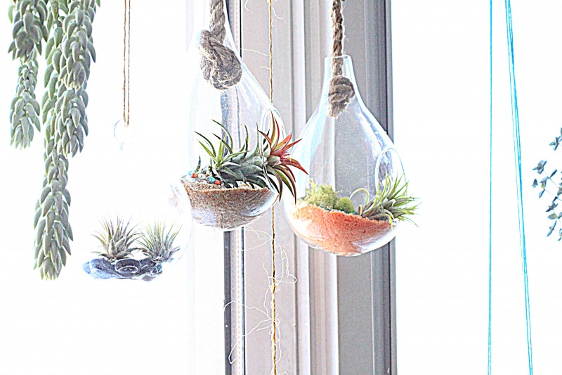 hangingplanters2