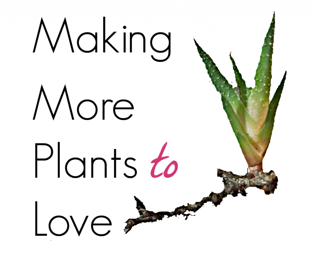 moreplants2