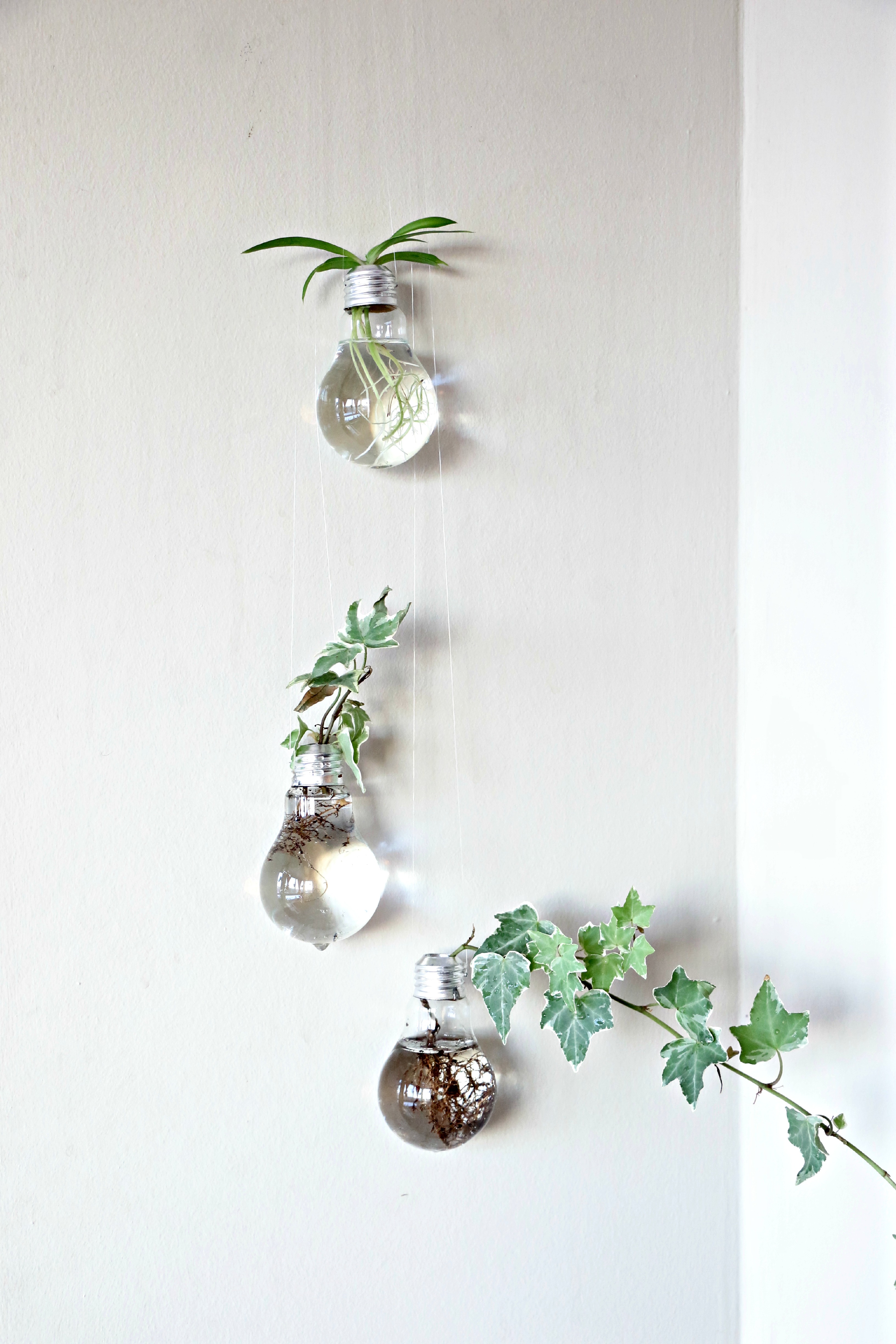 upcycled-light-bulb-planter