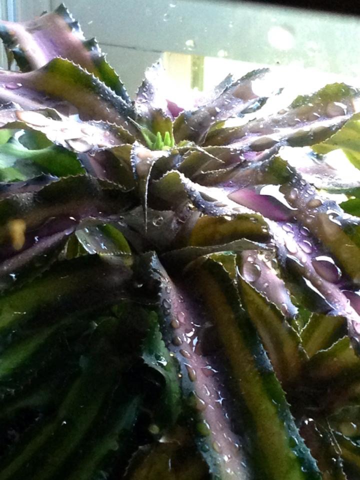 unnamed (2)