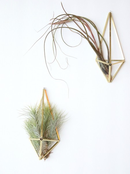 Himmeli Airplant Holder