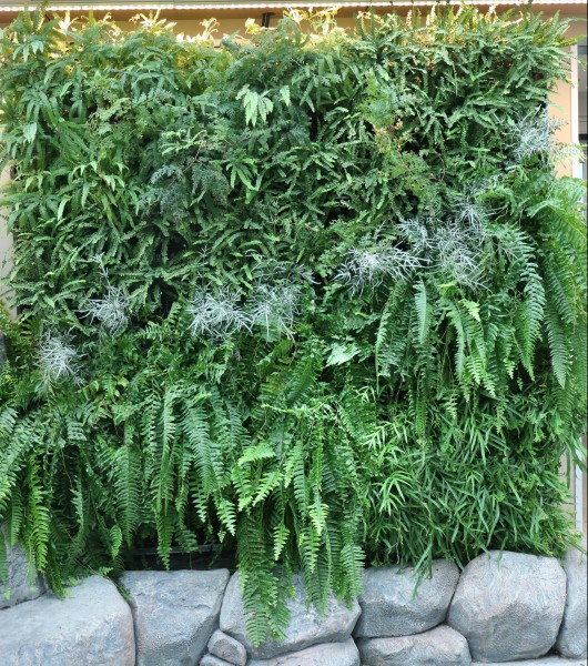 vertical wall