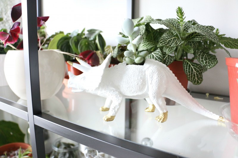 blogdino
