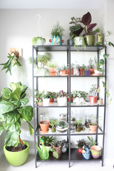 blogshelfie