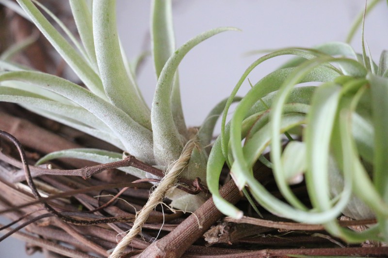 wreath1