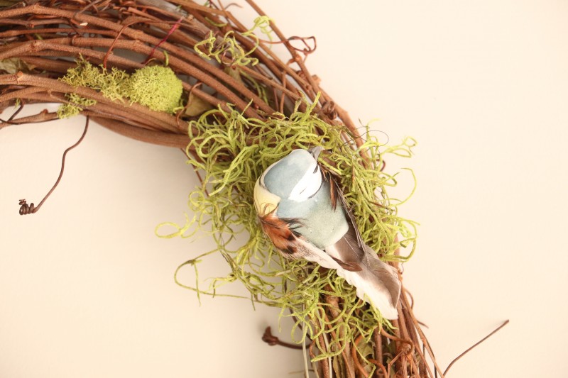 wreath bird