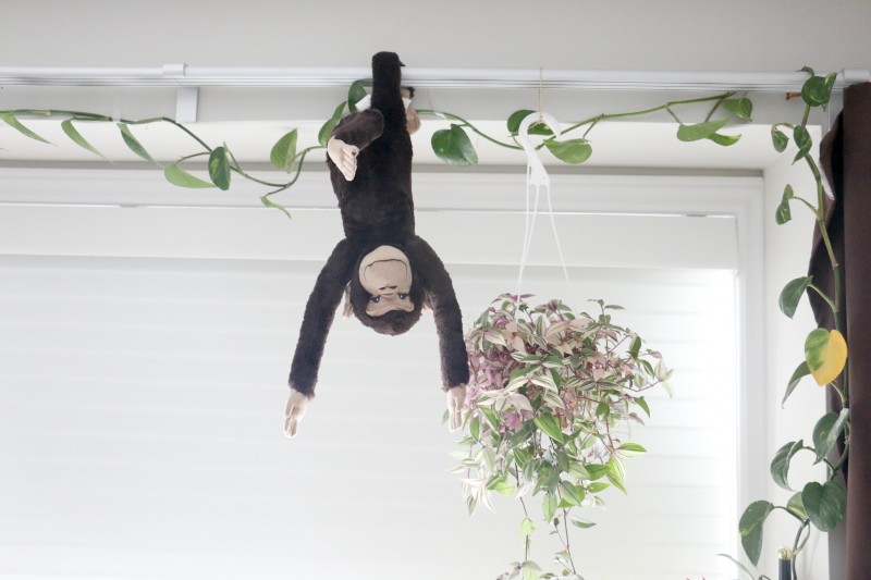 no hands