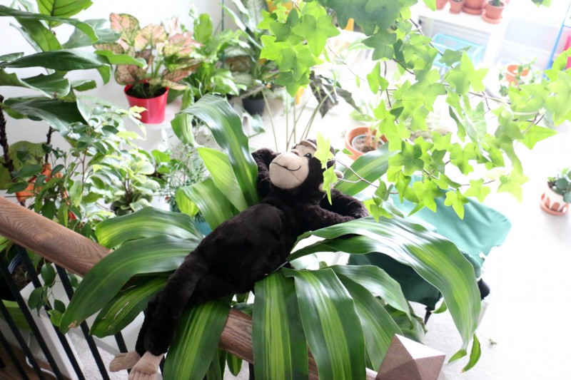 relax