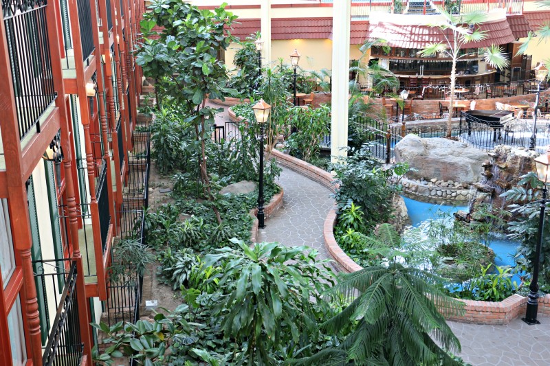 Plants