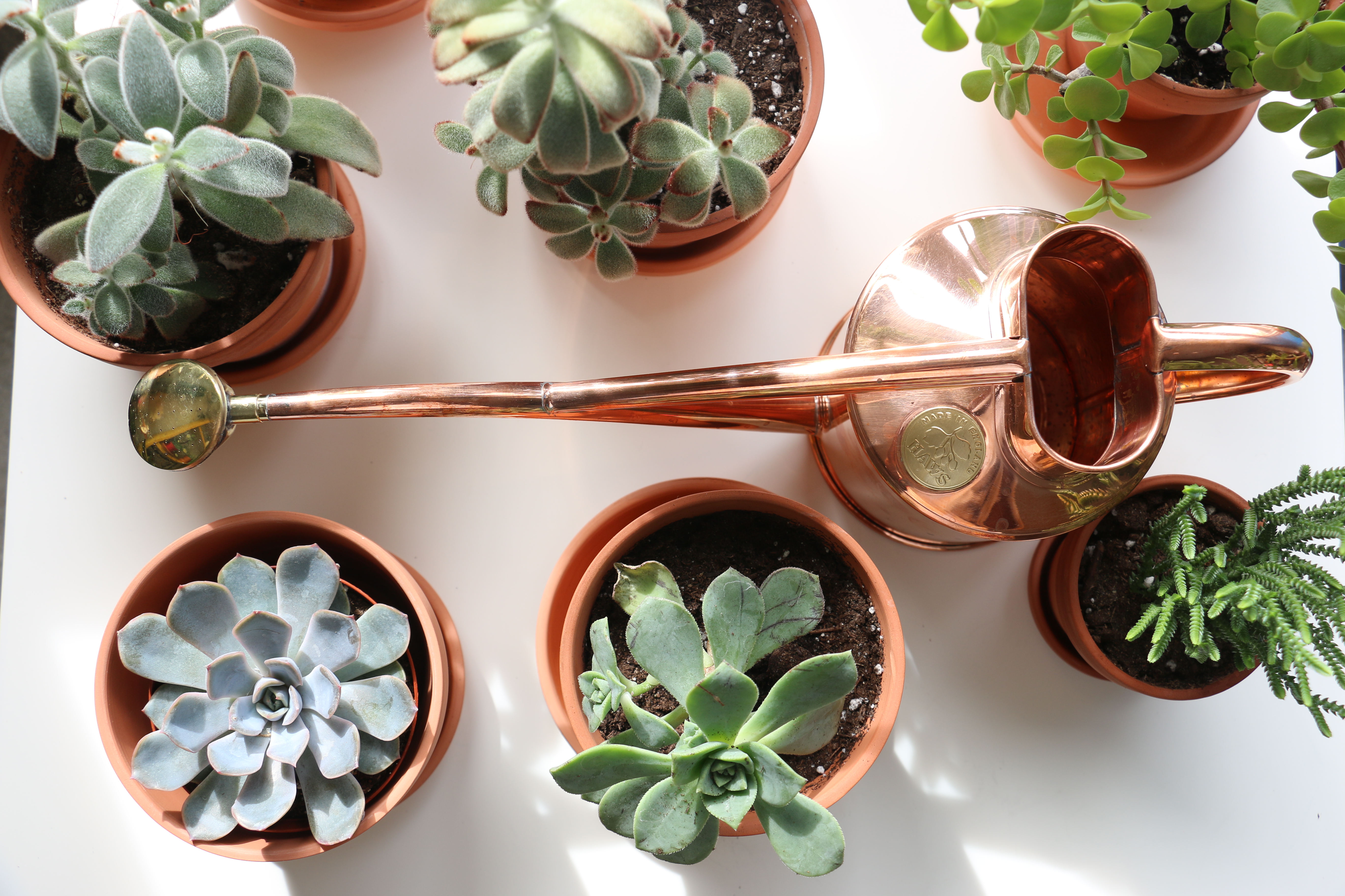 for-the-love-of-copper