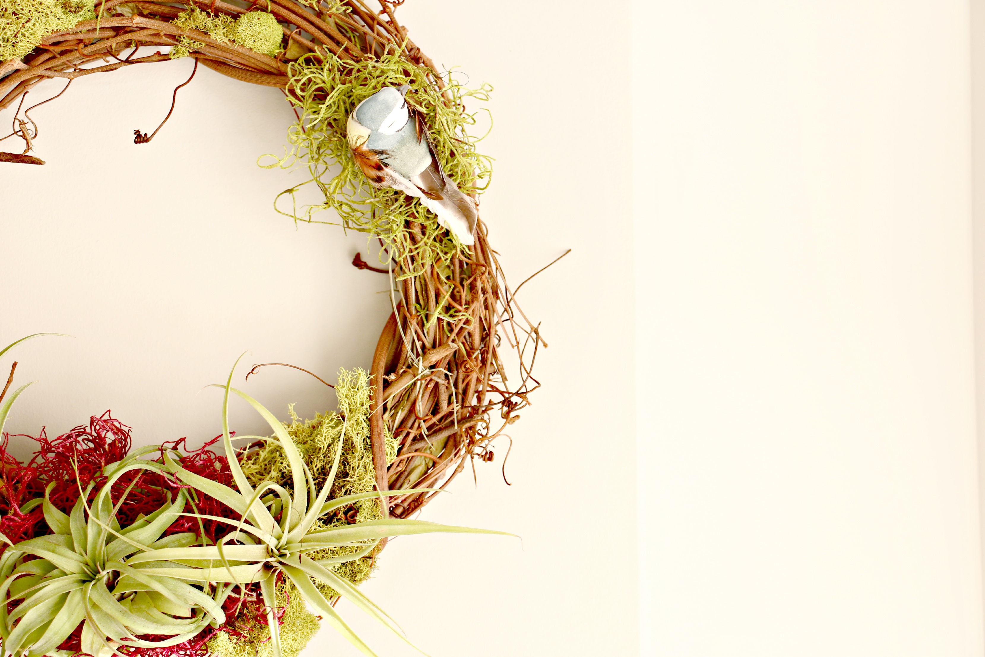 making-an-airplant-wreath