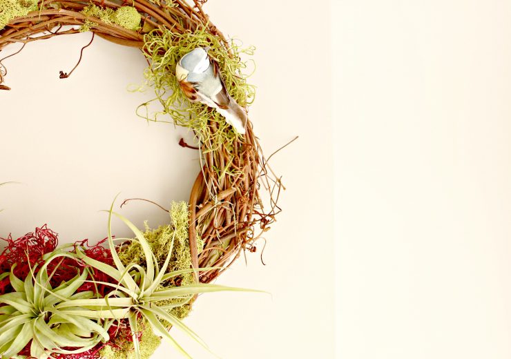 making-an-airplant-wreath