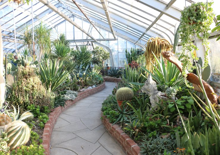 a-trip-to-the-centennial-park-conservatory