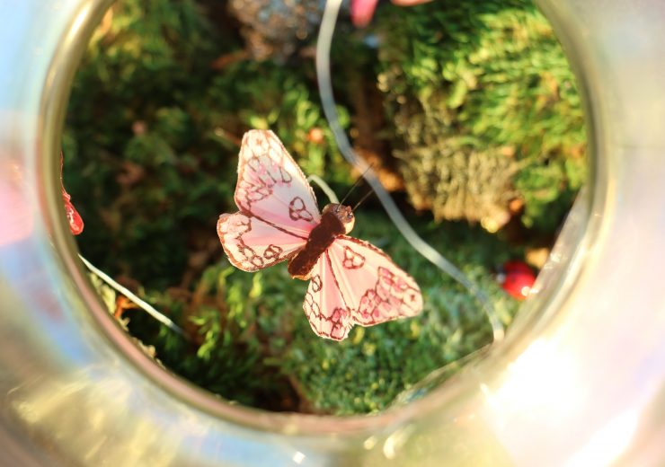 plants-under-glass